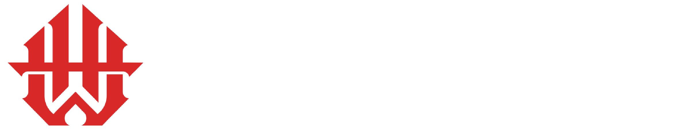 Digital Experts